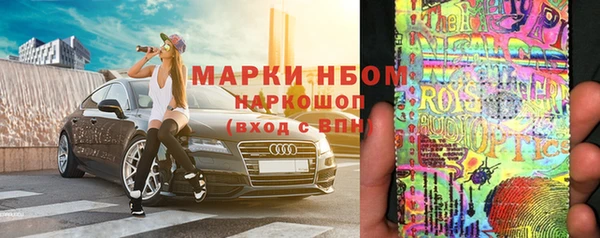 шишки Богданович