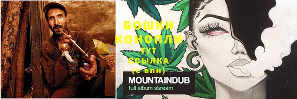шишки Богданович