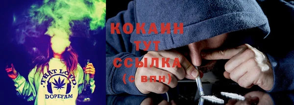 шишки Богданович