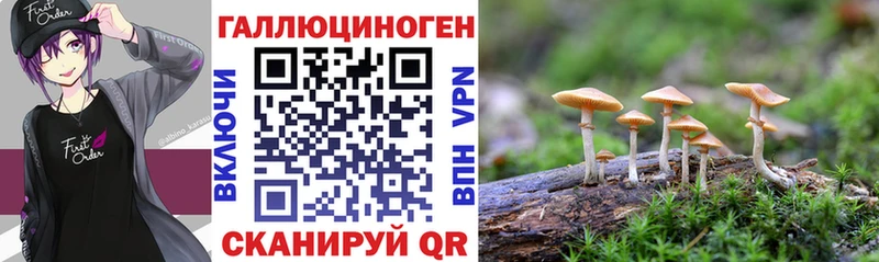 Галлюциногенные грибы мицелий  Киржач 